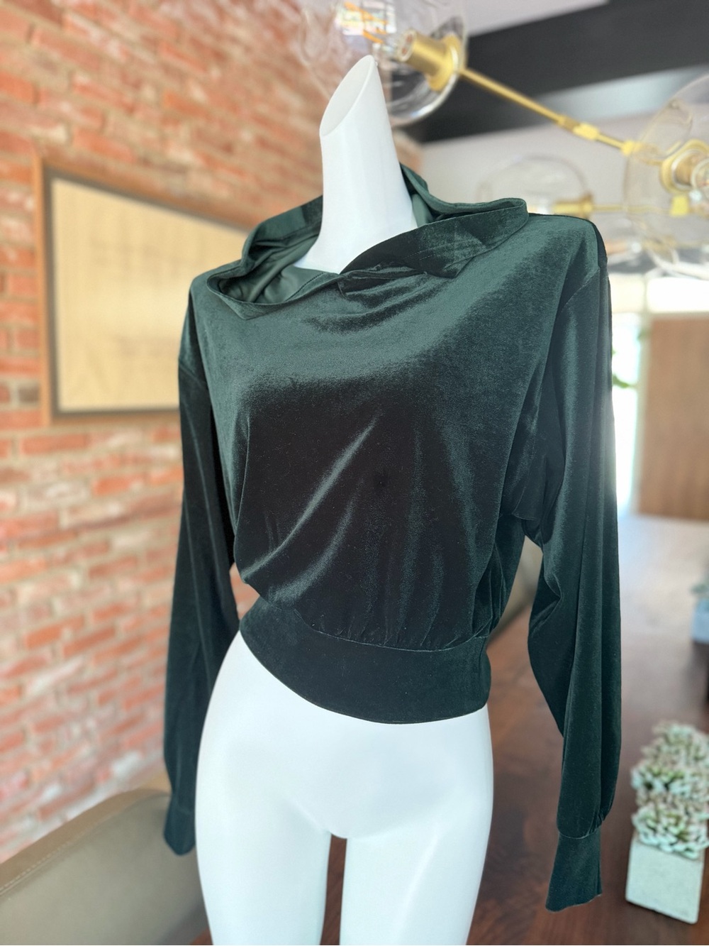 Express Dark Green Velvet Cropped Hoodie